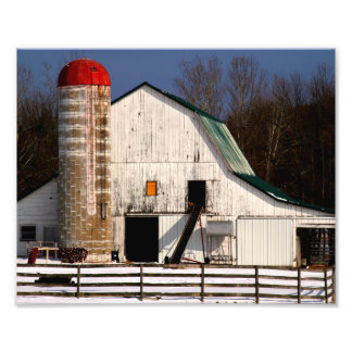 Weißer Stall und Rotes Silo Fotodruck