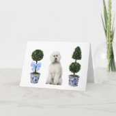 Weißer Standard Poodle Hund Welpe Topiary Wasserfa Karte (Vorderseite)