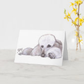 Weißer Standardpudel in der Ruhe Karte (Gelbe Blume)