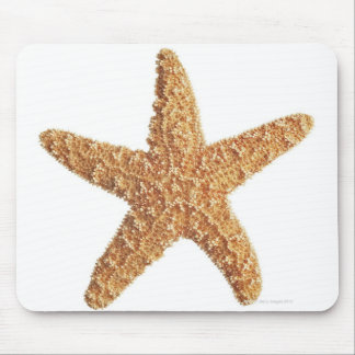 Weißer Starfisch abgeschieden Mousepad