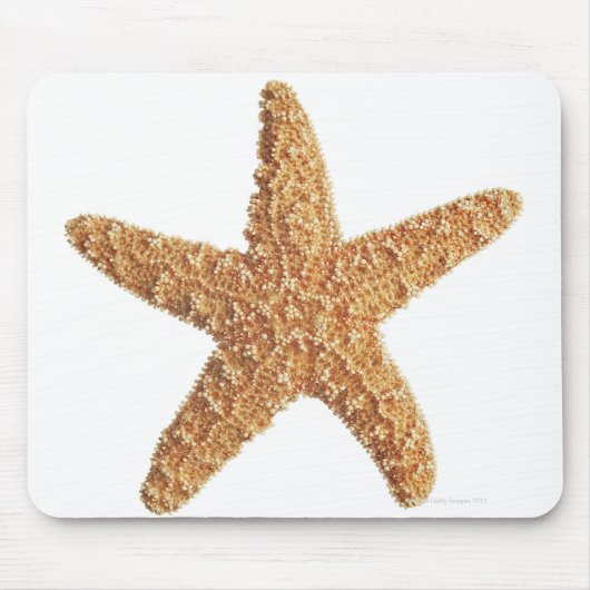Weißer Starfisch abgeschieden Mousepad (Vorne)
