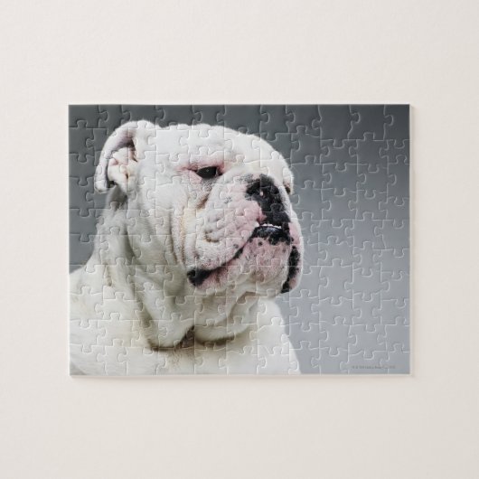 Weißer Stier-Hund Puzzle (Horizontal)