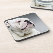 Weißer Stier-Hund Untersetzer (Linke Seite)