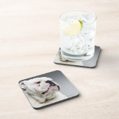 Weißer Stier-Hund Untersetzer (Rechte Seite)