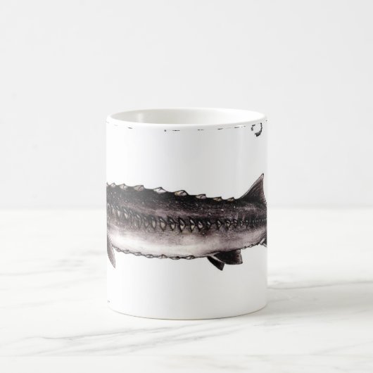 Weißer Stör betitelte Einzelteile Kaffeetasse (Mittel)