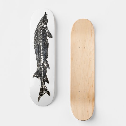 Weißer Stör Gyotaku Skateboard (Vorderseite)