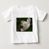 Weißer Südmagnolia-Blume