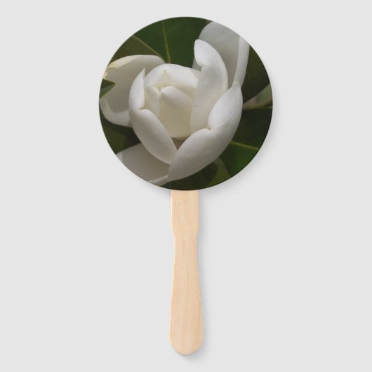 Weißer Südmagnolia-Blume Fächer (Vorderseite)