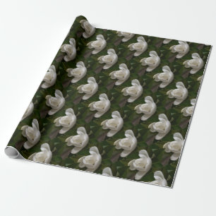 Weißer Südmagnolia-Blume Geschenkpapier