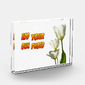 Weißer Sunny Tulips Foto Block (Links)