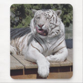 Weißer Tiger 10 Mousepad (Vorne)