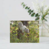 Weißer Tiger 10 Postkarte (Stehend Vorderseite)