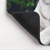 Weißer Tiger 1 Mousepad (Ecke)