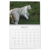 Weißer Tiger 3949e, weißer Tiger Kalender (Mär 2027)