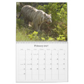 Weißer Tiger 3949e, weißer Tiger Kalender (Feb 2027)
