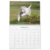 Weißer Tiger 3949e, weißer Tiger Kalender (Jan 2027)