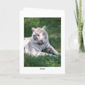 Weißer Tiger auf dem Bild eines grünen Gras Karte (Rückseite)
