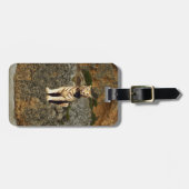 Weißer Tiger auf Felsen, Gepäckanhänger (Vorderseite horizontal)