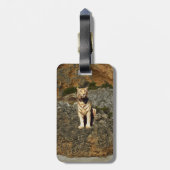 Weißer Tiger auf Felsen, Gepäckanhänger (Rückseite vertikal)