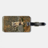 Weißer Tiger auf Felsen, Gepäckanhänger (Rückseite horizontal)