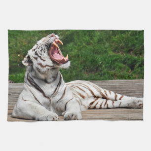 Weißer Tiger, Bengal Tiger Küchenhandtuch Handtuch