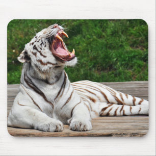 Weißer Tiger, Bengal-Tiger-Mauspad Mousepad