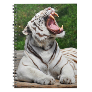 Weißer Tiger, Bengal-Tiger Notizbuch Notizblock