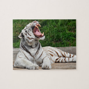 Weißer Tiger, Bengal-Tiger-Puzzle Puzzle