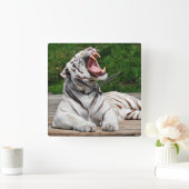 Weißer Tiger, Bengalische Tiger-Mauer-Uhr Quadratische Wanduhr (Zuhause)