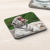 Weißer Tiger, Bengalischer Tiger Untersetzer (Linke Seite)