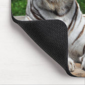Weißer Tiger, Bengalisches Tiger-Mousepad Mousepad (Ecke)