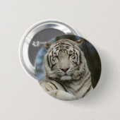 Weißer Tiger Button (Vorne & Hinten)