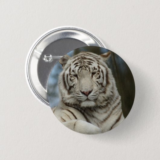 Weißer Tiger Button (Vorne & Hinten)