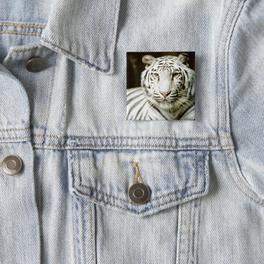 Weißer Tiger Button (Beispiel)
