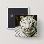 Weißer Tiger Button (Vorne & Hinten)