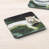 Weißer Tiger, der friedlich schwimmt Untersetzer (Linke Seite)