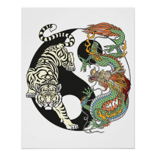 Weißer Tiger gegen grüner Drache im Yin Yang Poster