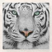 Weißer Tiger Glasuntersetzer (Vorderseite)