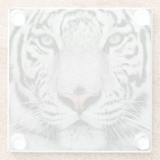 Weißer Tiger Glasuntersetzer (Rückseite)