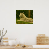 Weißer Tiger im Waldlicht Poster (Küche)