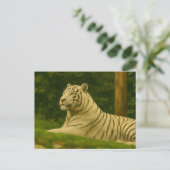 Weißer Tiger im Waldlicht Postkarte (Stehend Vorderseite)