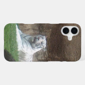 Weißer Tiger iPhone Hülle (Rückseite (Horizontal))