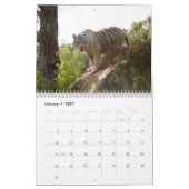 Weißer Tiger-Kalender, weiße Tiger Kalender (Jan 2027)