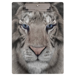 Weißer Tiger Klemmbrett