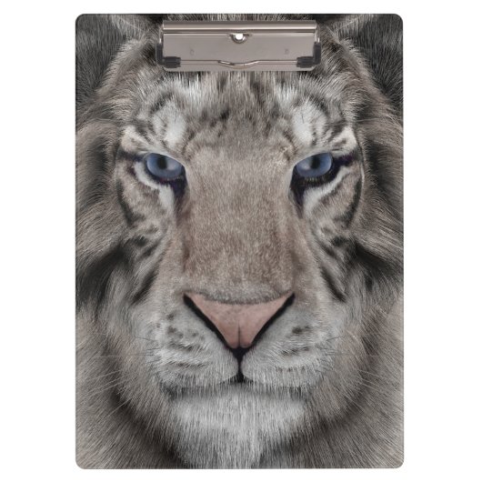 Weißer Tiger Klemmbrett (Vorderseite)
