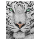 Weißer Tiger Klemmbrett (Rückseite)