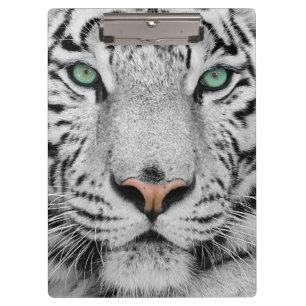 Weißer Tiger Klemmbrett
