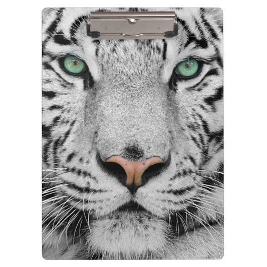 Weißer Tiger Klemmbrett (Vorderseite)