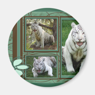 Weißer Tiger-Magnet Magnet