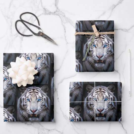 Weißer Tiger mit blauen Augen Geschenkpapier Set (Vorderseite)